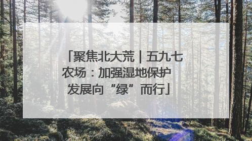 聚焦北大荒｜五九七农场：加强湿地保护 发展向“绿”而行
