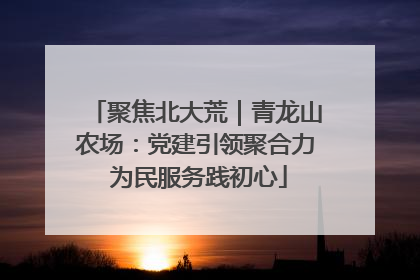 聚焦北大荒｜青龙山农场：党建引领聚合力 为民服务践初心