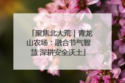 聚焦北大荒｜青龙山农场：融合节气智慧 深耕安全沃土