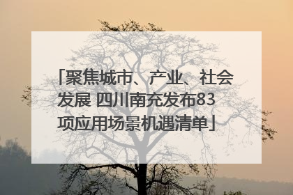 聚焦城市、产业、社会发展 四川南充发布83项应用场景机遇清单