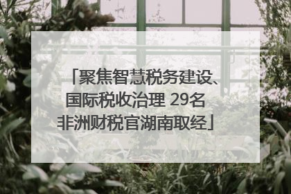 聚焦智慧税务建设、国际税收治理 29名非洲财税官湖南取经