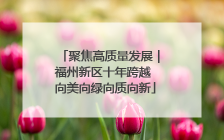 聚焦高质量发展｜福州新区十年跨越 向美向绿向质向新