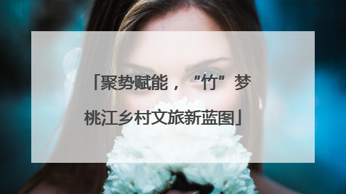聚势赋能，“竹”梦桃江乡村文旅新蓝图