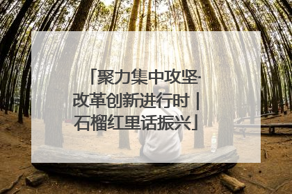 聚力集中攻坚·改革创新进行时｜石榴红里话振兴