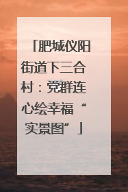 肥城仪阳街道下三合村：党群连心绘幸福“实景图”