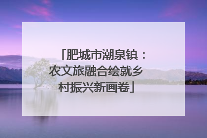 肥城市潮泉镇：农文旅融合绘就乡村振兴新画卷