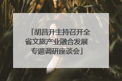胡昌升主持召开全省文旅产业融合发展专题调研座谈会