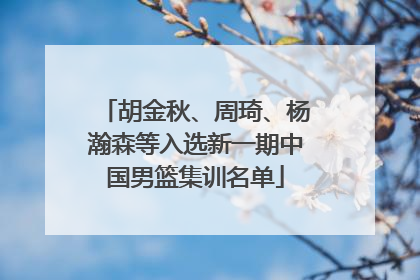 胡金秋、周琦、杨瀚森等入选新一期中国男篮集训名单