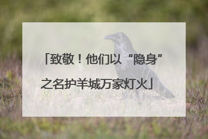 致敬！他们以“隐身”之名护羊城万家灯火