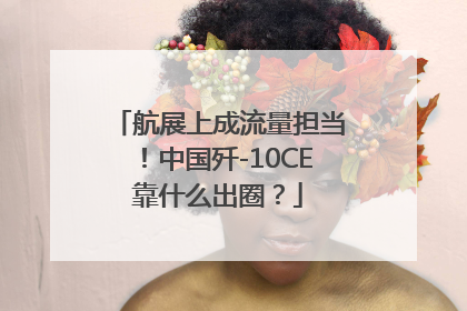 航展上成流量担当！中国歼-10CE靠什么出圈？