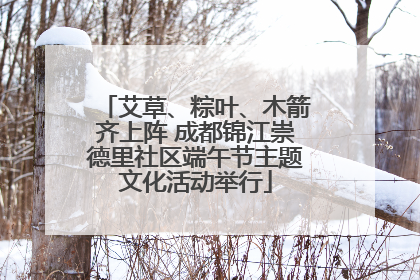 艾草、粽叶、木箭齐上阵 成都锦江崇德里社区端午节主题文化活动举行