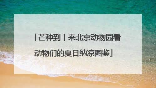 芒种到丨来北京动物园看动物们的夏日纳凉图鉴