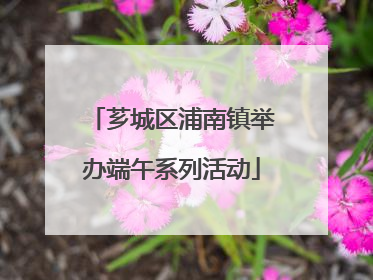 芗城区浦南镇举办端午系列活动
