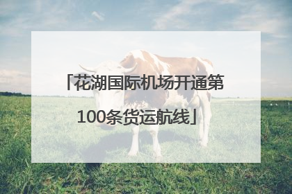 花湖国际机场开通第100条货运航线