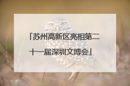 苏州高新区亮相第二十一届深圳文博会