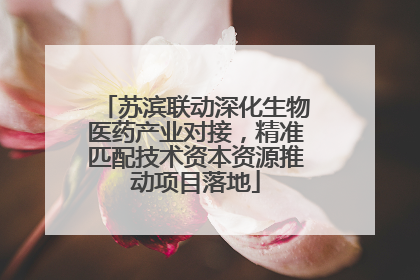 苏滨联动深化生物医药产业对接，精准匹配技术资本资源推动项目落地