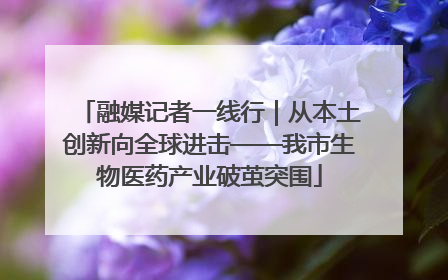 融媒记者一线行｜从本土创新向全球进击——我市生物医药产业破茧突围