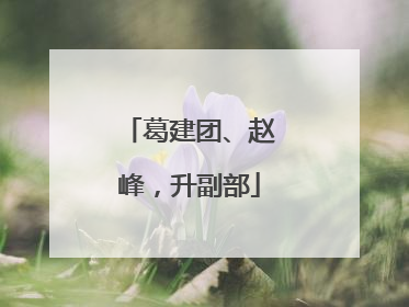 葛建团、赵峰，升副部