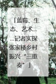 蓝莓、生态、艺术……记者实探张家楼乡村振兴“三重奏”