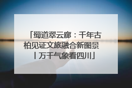 蜀道翠云廊：千年古柏见证文旅融合新图景丨万千气象看四川