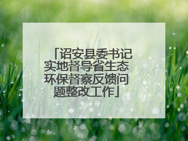诏安县委书记实地督导省生态环保督察反馈问题整改工作