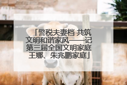 警税夫妻档 共筑文明和谐家风——记第三届全国文明家庭王娜、朱兆鹏家庭