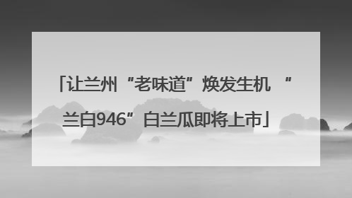 让兰州“老味道”焕发生机 “兰白946”白兰瓜即将上市