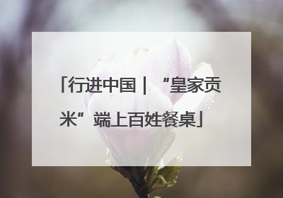 行进中国｜“皇家贡米”端上百姓餐桌