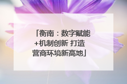 衡南：数字赋能+机制创新 打造营商环境新高地