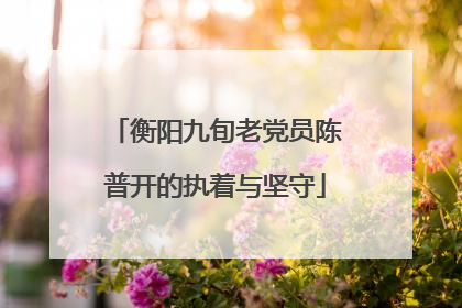 衡阳九旬老党员陈普开的执着与坚守