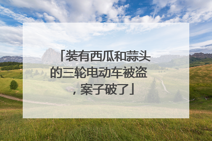 装有西瓜和蒜头的三轮电动车被盗，案子破了