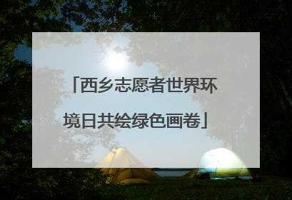 西乡志愿者世界环境日共绘绿色画卷