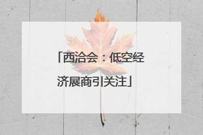 西洽会：低空经济展商引关注