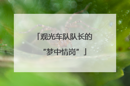 观光车队队长的“梦中情岗”