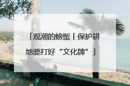 观潮的螃蟹丨保护耕地要打好“文化牌”