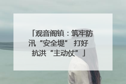 观音阁镇：筑牢防汛“安全堤” 打好抗洪“主动仗”