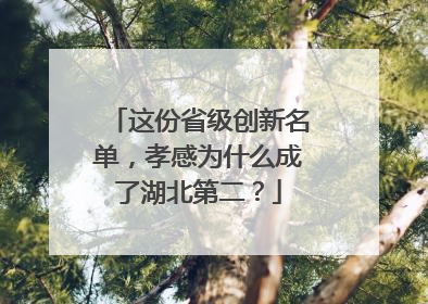 这份省级创新名单，孝感为什么成了湖北第二？