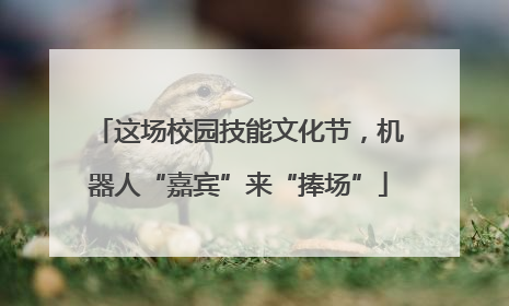 这场校园技能文化节，机器人“嘉宾”来“捧场”