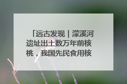 远古发现｜濛溪河遗址出土数万年前核桃，我国先民食用核桃历史大幅提前