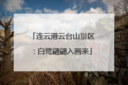连云港云台山景区：白鹭翩翩入画来