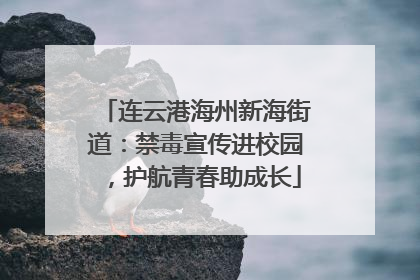 连云港海州新海街道：禁毒宣传进校园，护航青春助成长