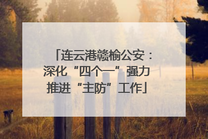 连云港赣榆公安：深化“四个一”强力推进“主防”工作