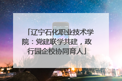 辽宁石化职业技术学院：党建联学共建，政行园企校协同育人