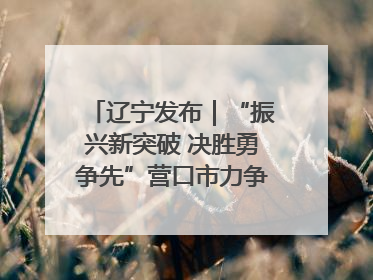 辽宁发布｜“振兴新突破 决胜勇争先”营口市力争上半年GDP增长6%左右