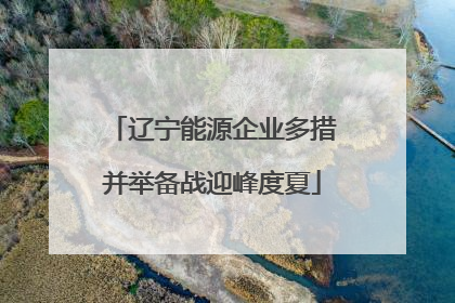 辽宁能源企业多措并举备战迎峰度夏