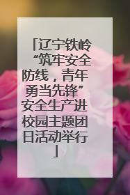 辽宁铁岭“筑牢安全防线，青年勇当先锋”安全生产进校园主题团日活动举行
