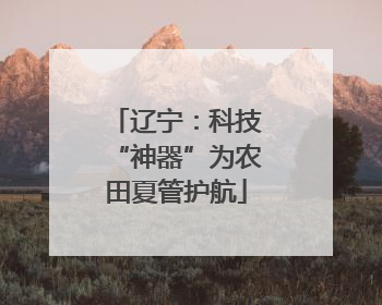 辽宁：科技“神器”为农田夏管护航