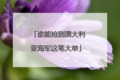 谁能抢到澳大利亚海军这笔大单