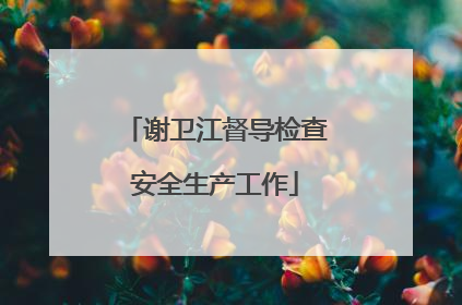 谢卫江督导检查安全生产工作
