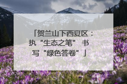 贺兰山下西夏区：执“生态之笔” 书写“绿色答卷”